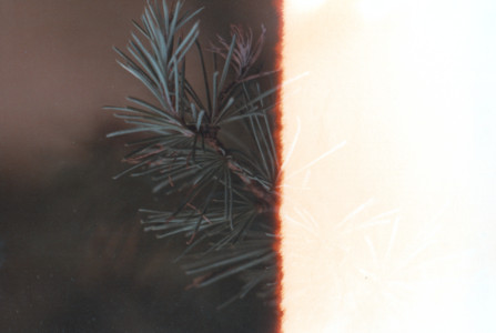 scan0011.tif